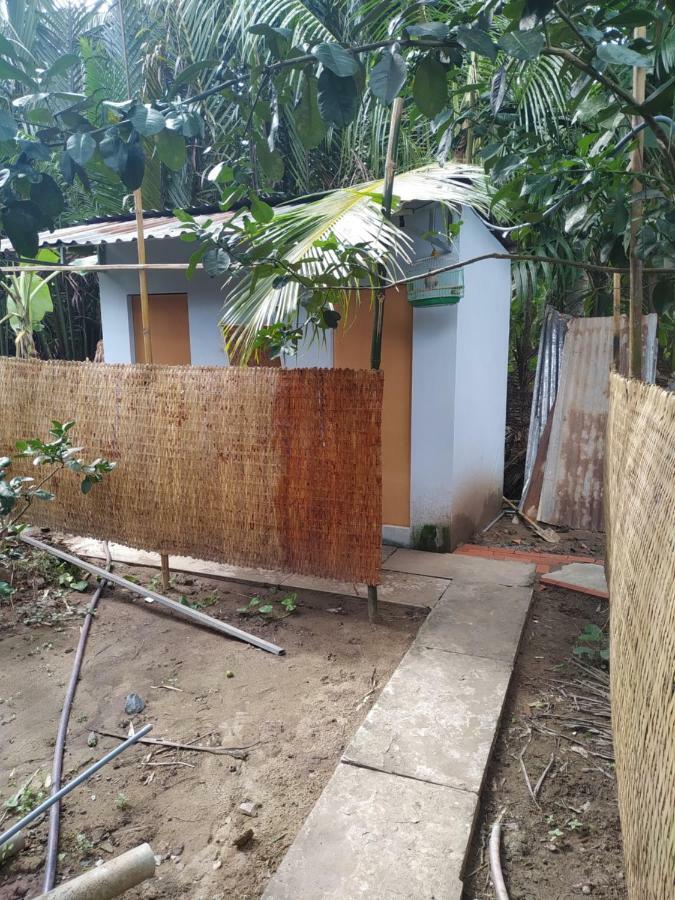 Mecong Homestay Ben Tre Exteriér fotografie