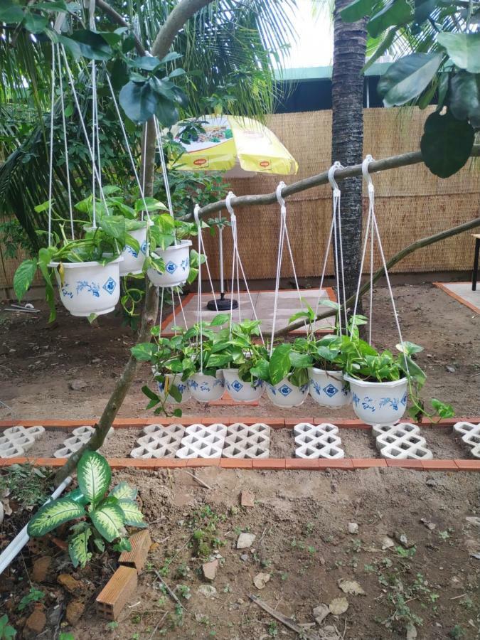 Mecong Homestay Ben Tre Exteriér fotografie